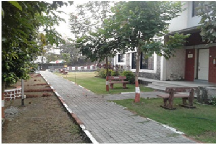 Senior Citizen Home