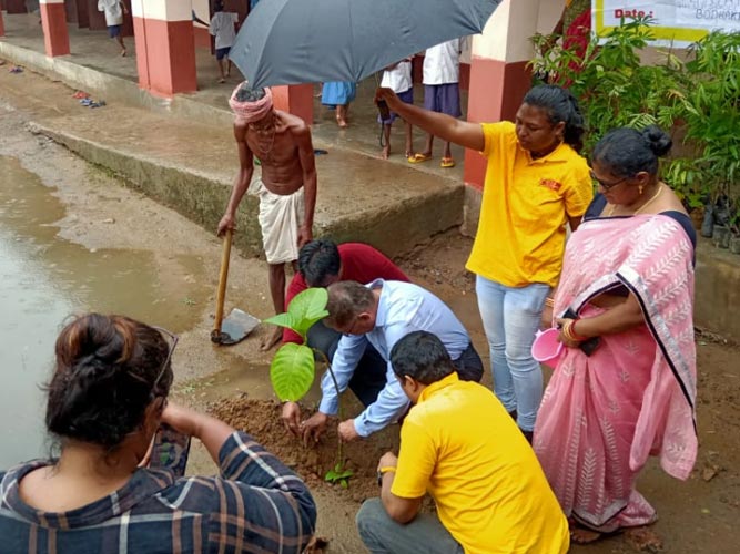 Plantation Program