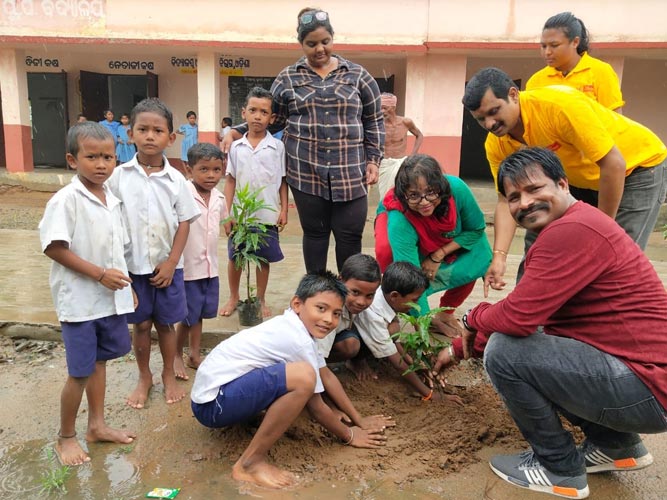 Plantation Program